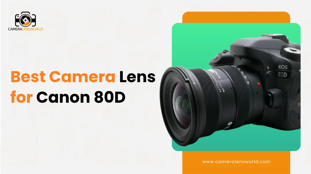 Best Camera Lens for Canon 80D