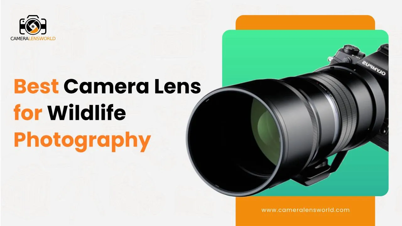 Best Camera Lens for Wildlife Photography