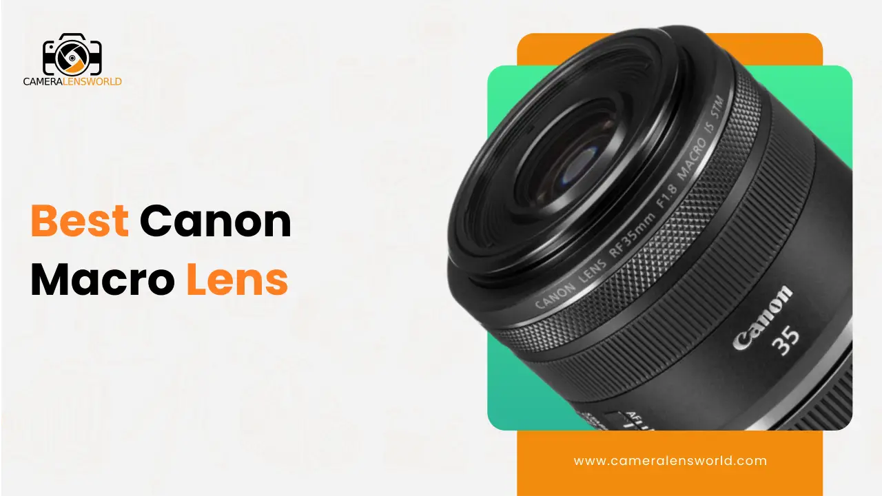 Best Canon Macro Lens