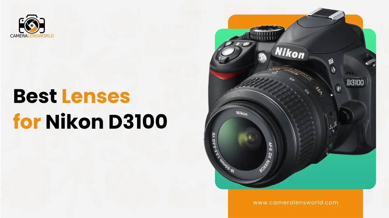 Best Camera Lenses for Nikon D3100