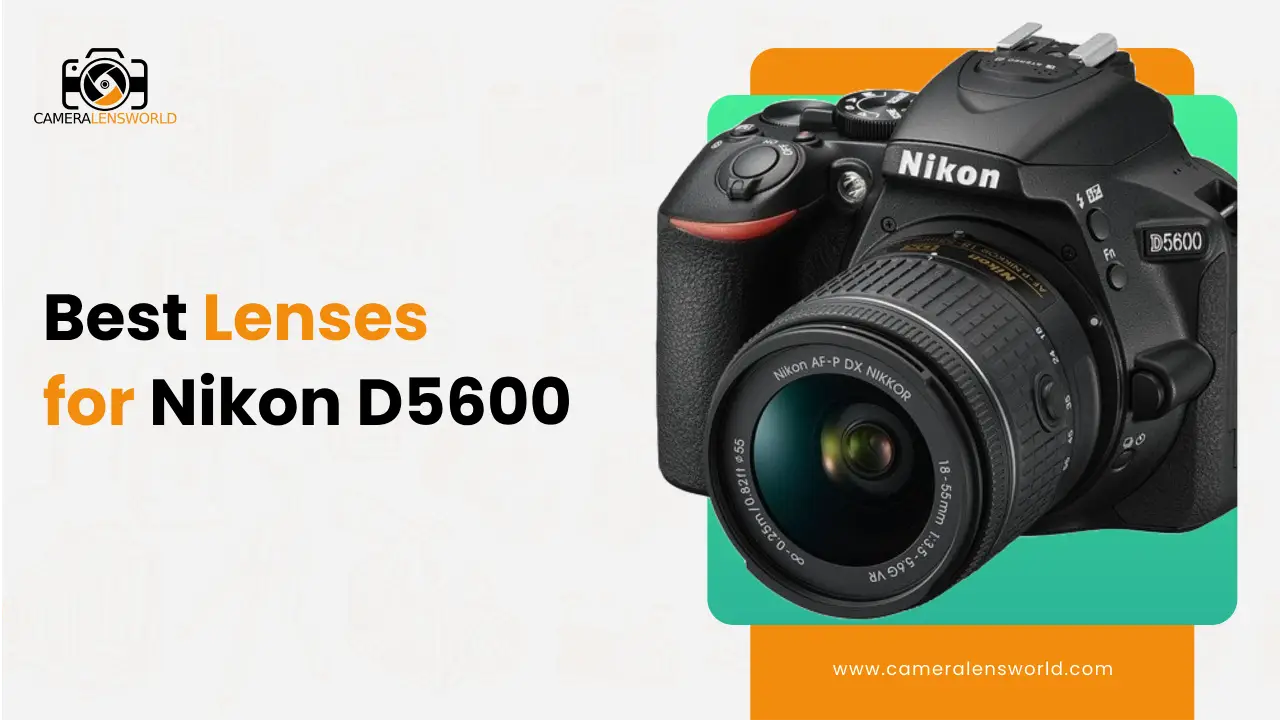 Best Camera Lenses for Nikon D5600