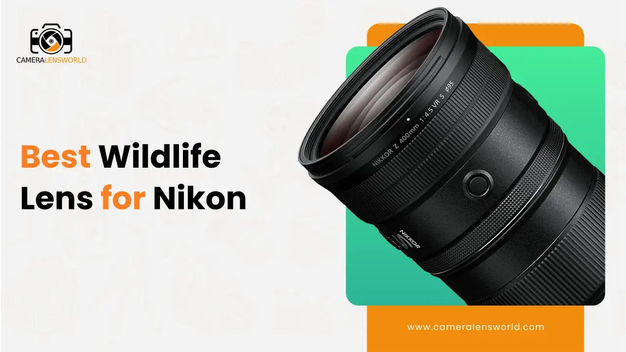 Best Nikon lens for wildlife photography