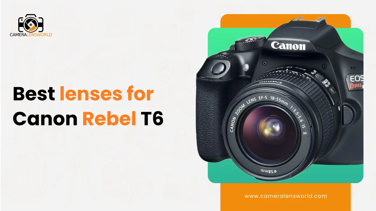 Best lenses for Canon Rebel T6