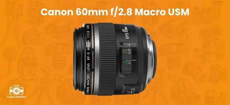 Canon 60mm f_2.8 Macro USM