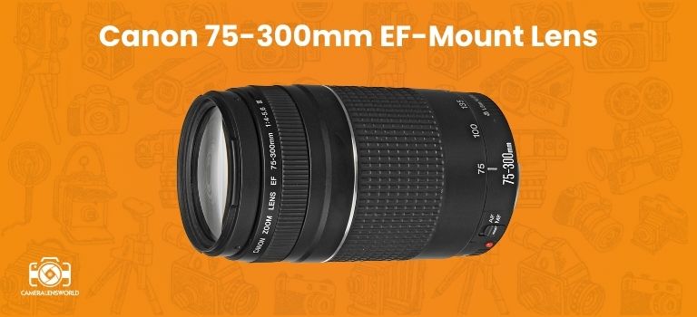 Canon 75-300mm EF-Mount Lens