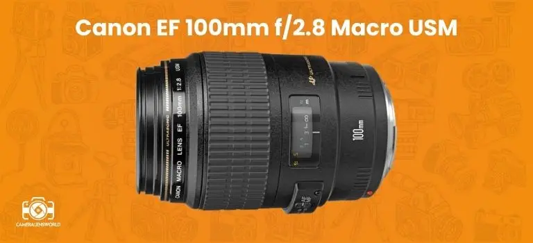 Canon EF 100mm f_2.8 Macro USM