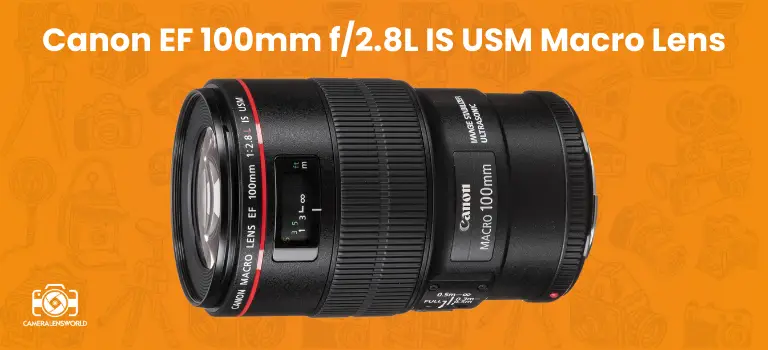 Canon EF 100mm f_2.8L IS USM Macro Lens