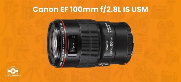 Canon EF 100mm f_2.8L IS USM