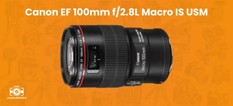 Canon EF 100mm f_2.8L Macro IS USM