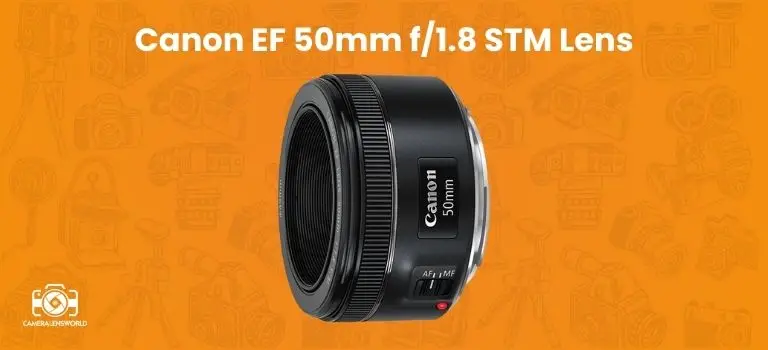 Canon EF 50mm f_1.8 STM Lens (1)