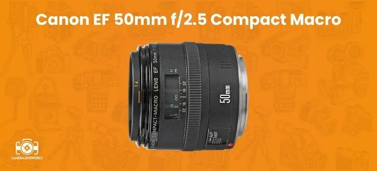 Canon EF 50mm f_2.5 Compact Macro