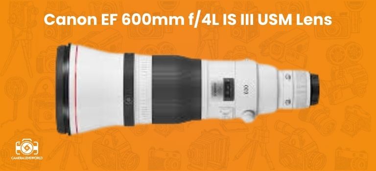 Canon EF 600mm f_4L IS III USM Lens