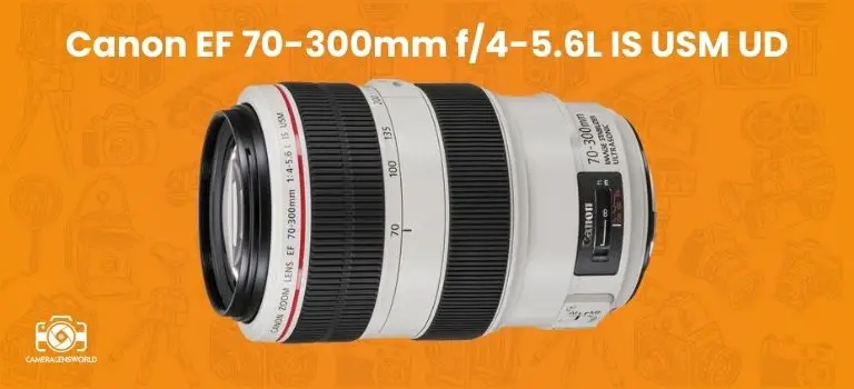 Canon EF 70-300mm f_4-5.6L IS USM UD