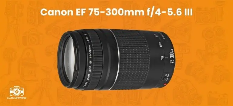 Canon EF 75-300mm f_4-5.6 III