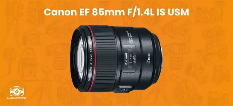 Canon EF 85mm F_1.4L IS USM