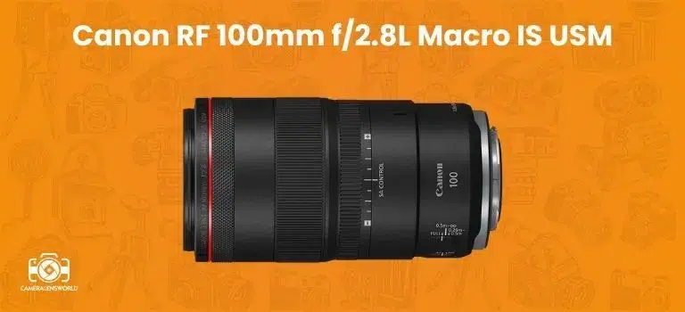 Canon RF 100mm f_2.8L Macro IS USM