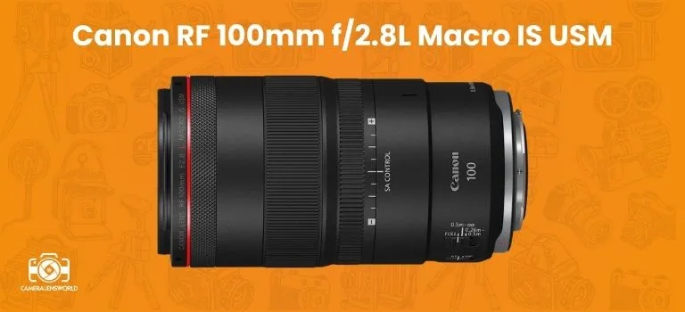 Canon RF 100mm f_2.8L Macro IS USM