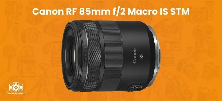 Canon RF 85mm f_2 Macro IS STM