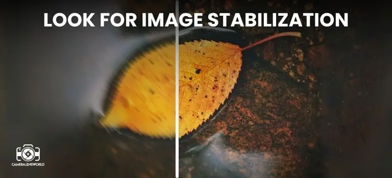 Look for Image stabilization