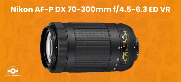 Nikon AF-P DX 70-300mm f_4.5-6.3 ED VR