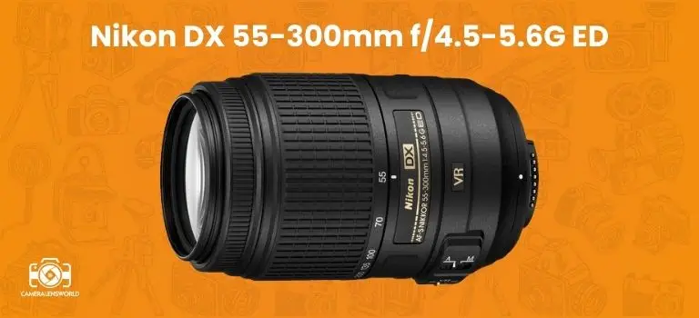 Nikon DX 55-300mm f_4.5-5.6G ED