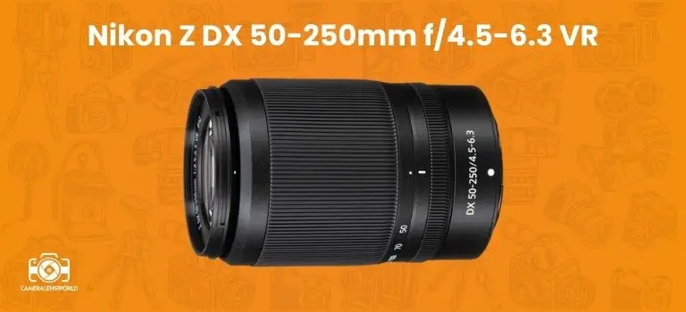 Nikon Z DX 50-250mm f_4.5-6.3 VR