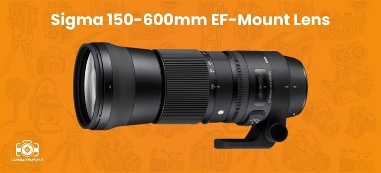 Sigma 150-600mm EF-Mount Lens