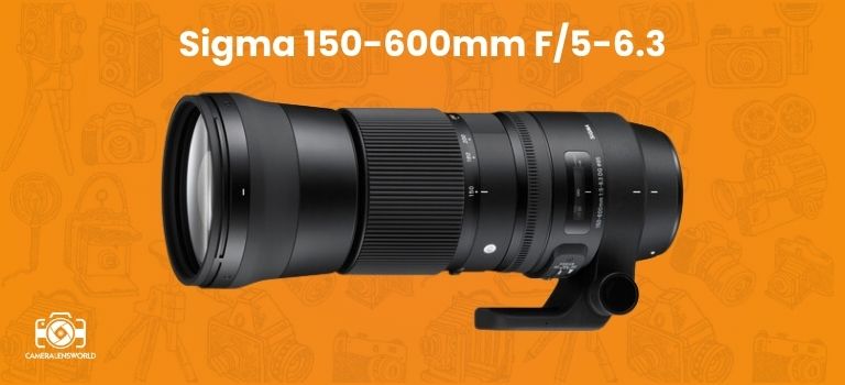 Sigma 150-600mm F5-6.3