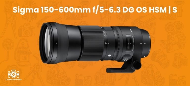 Sigma 150-600mm f_5-6.3 DG OS HSM _ S