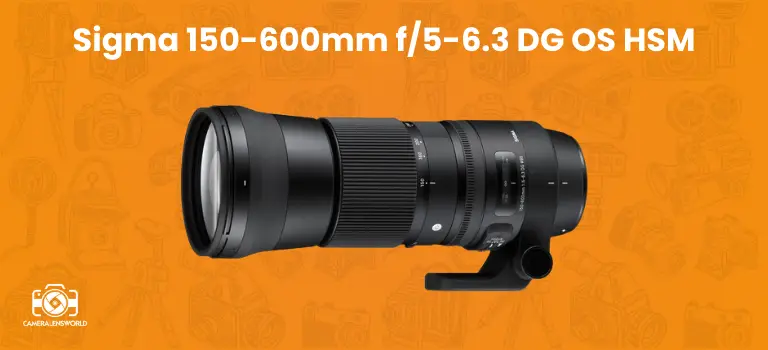 Sigma 150-600mm f_5-6.3 DG OS HSM