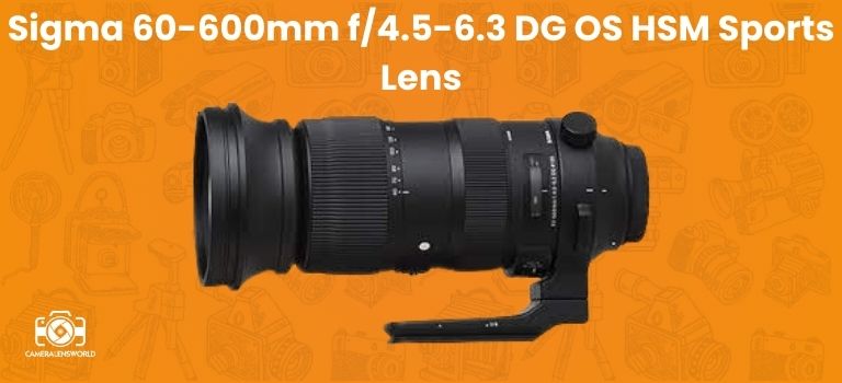 Sigma 60-600mm f_4.5-6.3 DG OS HSM Sports Lens