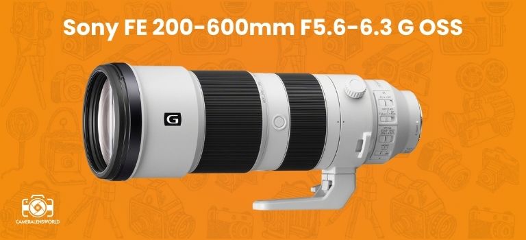 Sony FE 200-600mm F5.6-6.3 G OSS