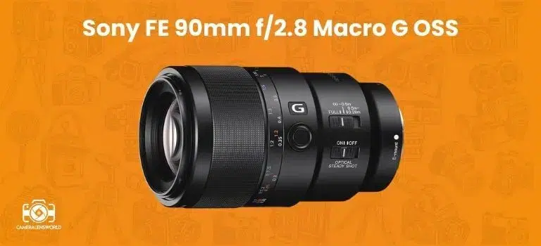 Sony FE 90mm f_2.8 Macro G OSS