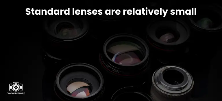 Standard lenses are relatively small