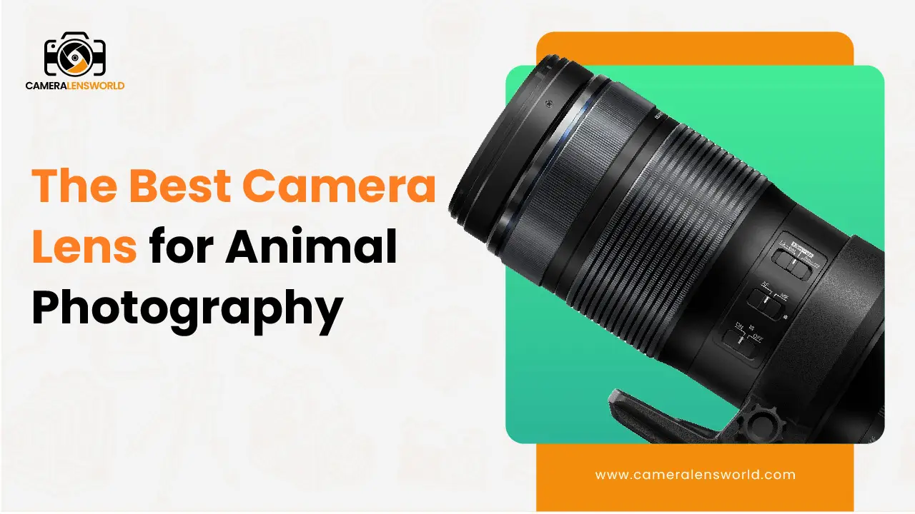 The Best Camera Lenses for Animal Photography