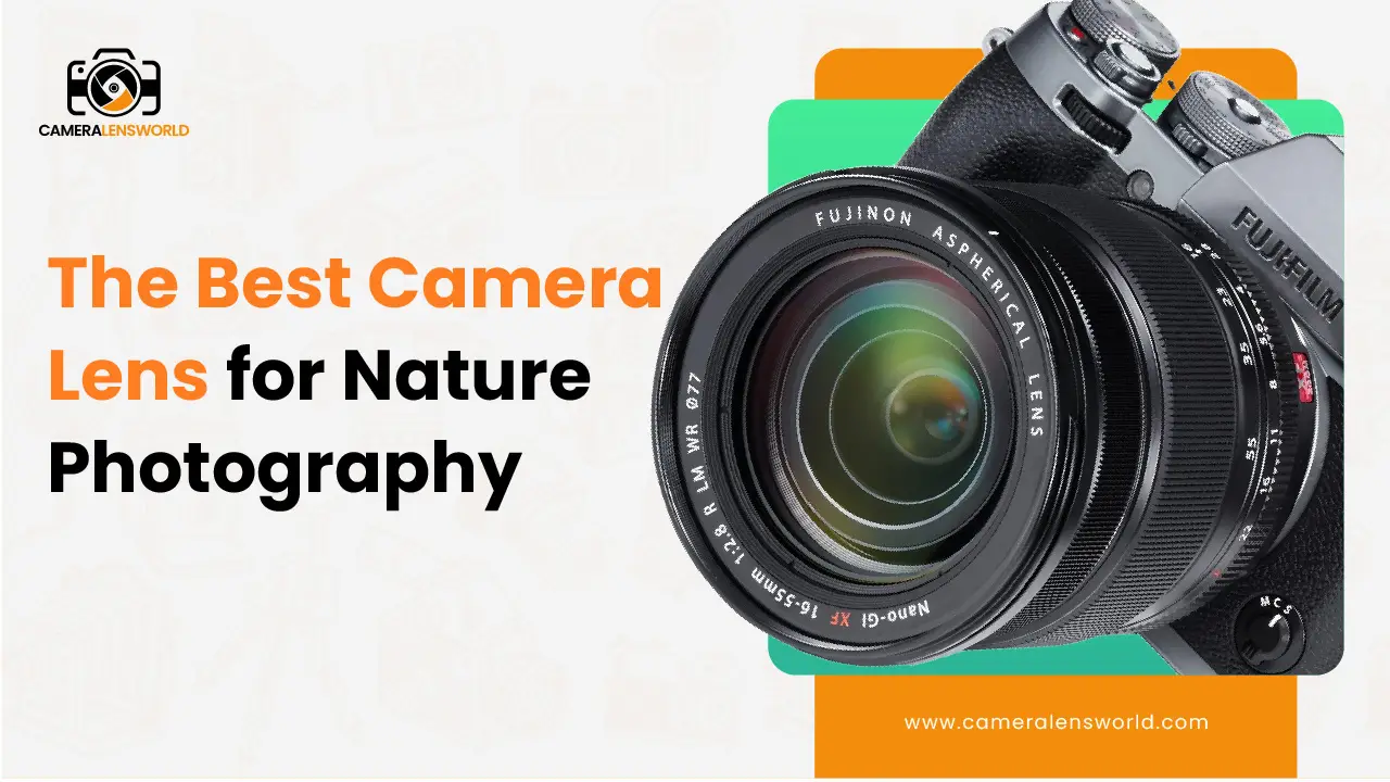 The Best Camera Lenses for Nature Photography