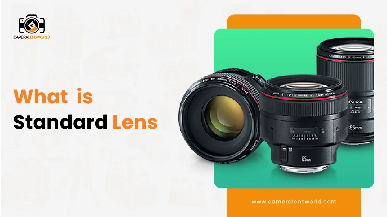 What is Standard Lens