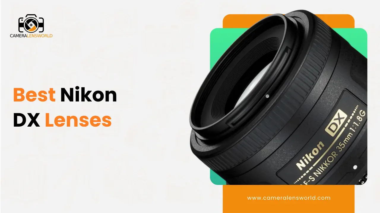 best Nikon DX lenses